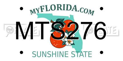 MTS276 Florida License Plate