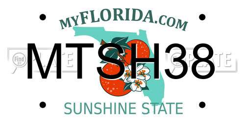 MTSH38 Florida License Plate