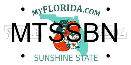 MTSSBN Florida License Plate