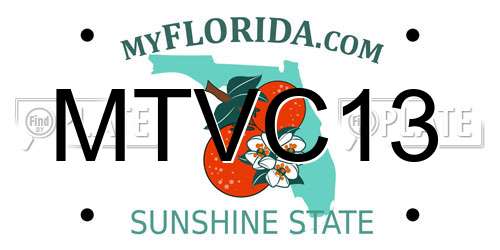 MTVC13 Florida License Plate