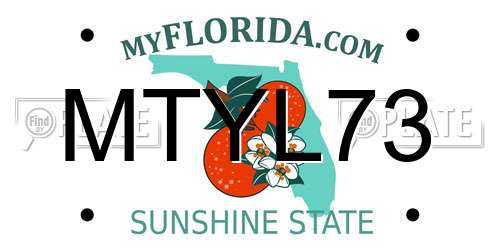 MTYL73 Florida License Plate