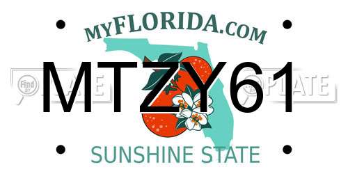 MTZY61 Florida License Plate