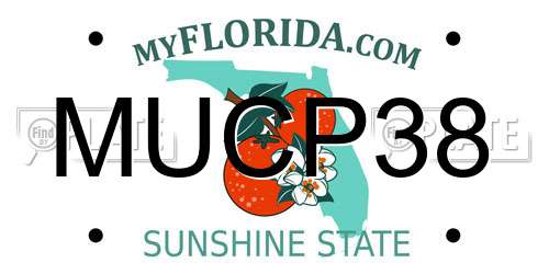 MUCP38 Florida License Plate