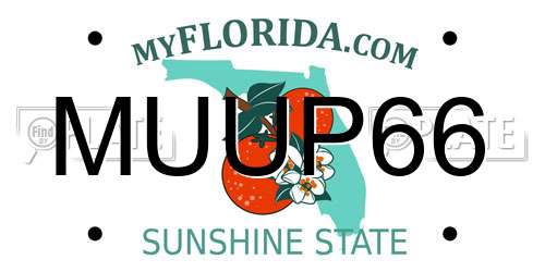 MUUP66 Florida License Plate