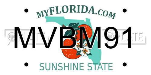MVBM91 Florida License Plate