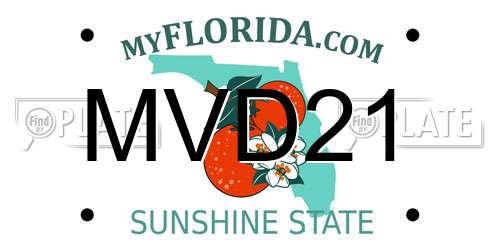 MVD21 Florida License Plate