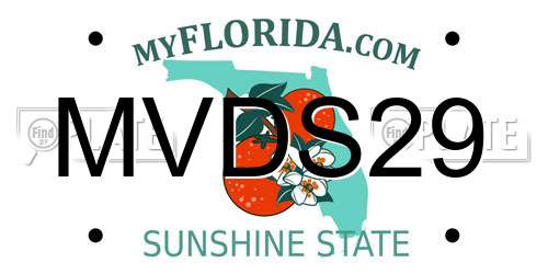 MVDS29 Florida License Plate