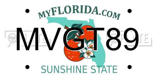 MVGT89 Florida License Plate