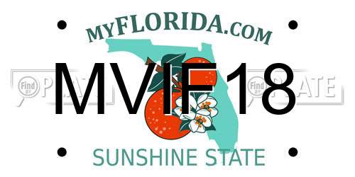 MVIF18 Florida License Plate