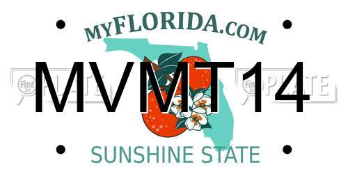 MVMT14 Florida License Plate