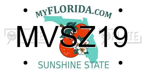 MVSZ19 Florida License Plate
