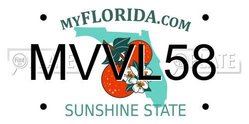 MVVL58 Florida License Plate