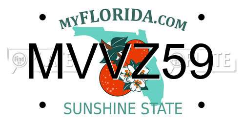 MVVZ59 Florida License Plate