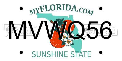 MVWQ56 Florida License Plate