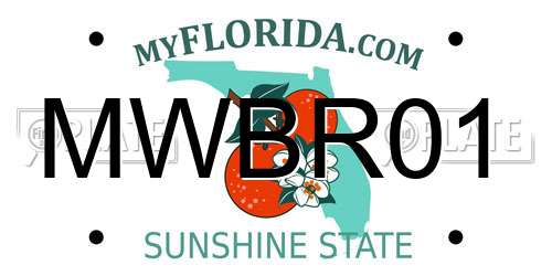 MWBR01 Florida License Plate