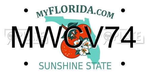 MWCV74 Florida License Plate