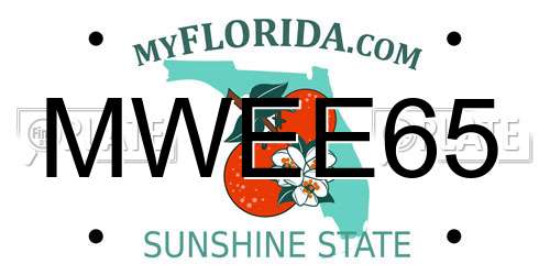 MWEE65 Florida License Plate