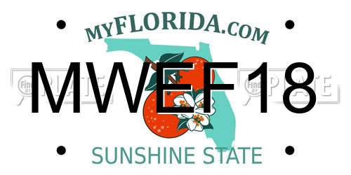 MWEF18 Florida License Plate