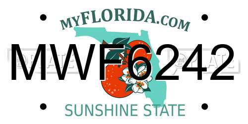 MWF6242 Florida License Plate
