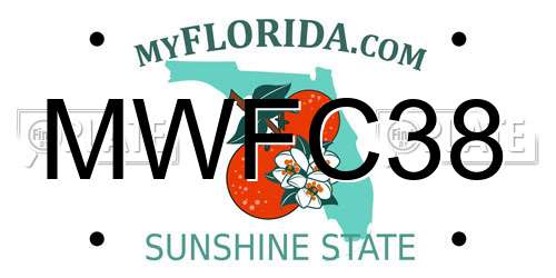 MWFC38 Florida License Plate