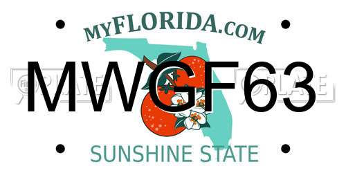 MWGF63 Florida License Plate