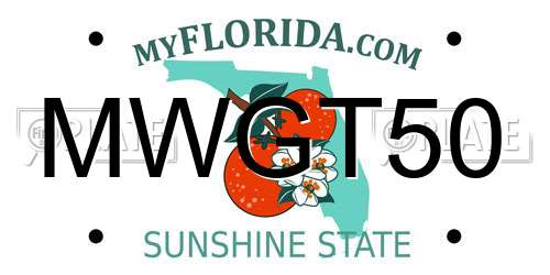 MWGT50 Florida License Plate