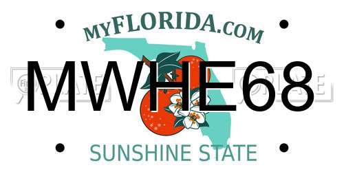 MWHE68 Florida License Plate