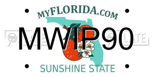 MWIP90 Florida License Plate