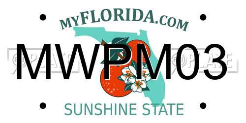 MWPM03 Florida License Plate