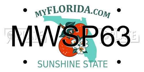 MWSP63 Florida License Plate
