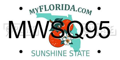 MWSQ95 Florida License Plate