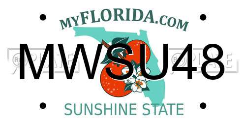 MWSU48 Florida License Plate