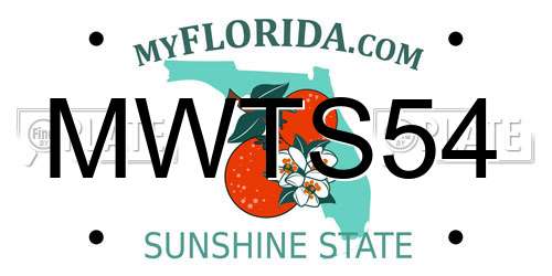 MWTS54 Florida License Plate