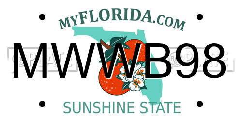 MWWB98 Florida License Plate