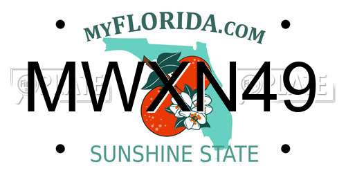 MWXN49 Florida License Plate