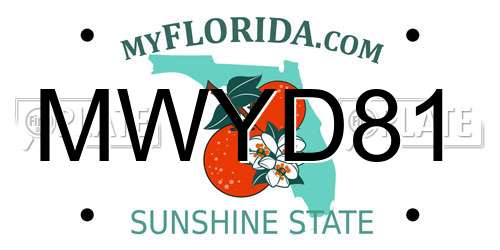 MWYD81 Florida License Plate