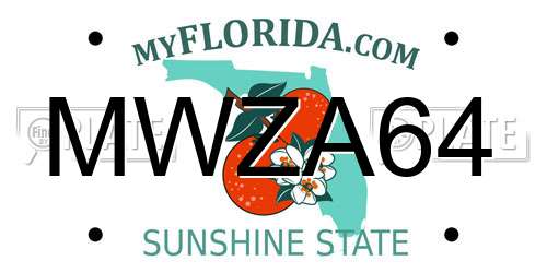 MWZA64 Florida License Plate