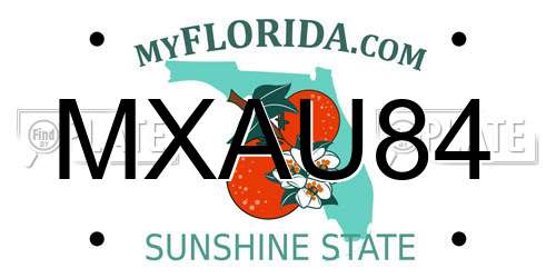 MXAU84 Florida License Plate