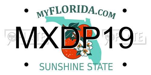 MXDP19 Florida License Plate