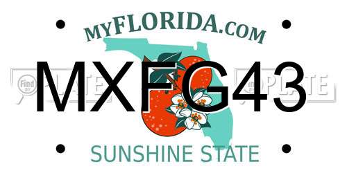 MXFG43 Florida License Plate