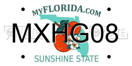 MXHG08 Florida License Plate
