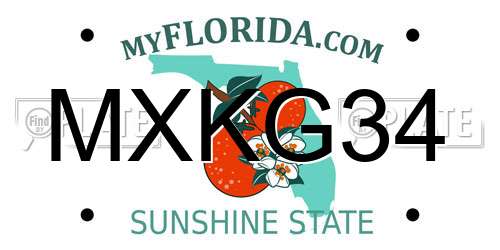 MXKG34 Florida License Plate