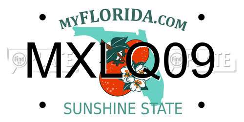 MXLQ09 Florida License Plate