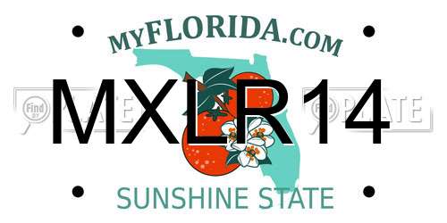 MXLR14 Florida License Plate