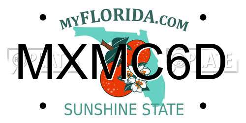 MXMC6D Florida License Plate