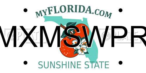 MXMSWPR Florida License Plate