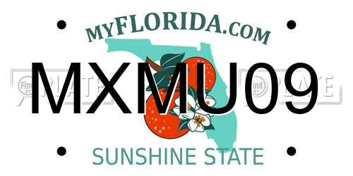 MXMU09 Florida License Plate