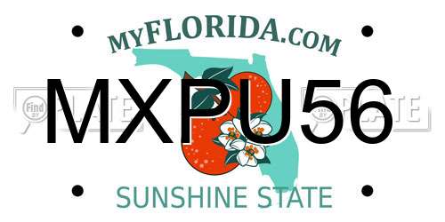 MXPU56 Florida License Plate