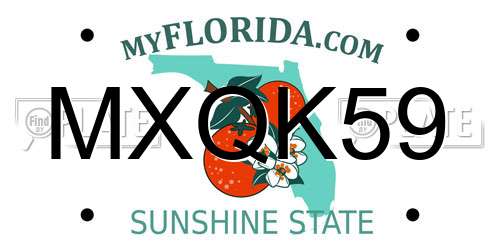 MXQK59 Florida License Plate