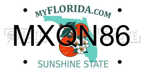 MXQN86 Florida License Plate